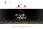 Strona internetowa dla Festiwalu Ekspresji Twórców Amatorów